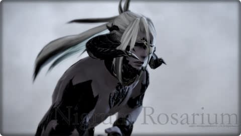 ffxiv_dx11 2015-09-25 22-44-39-938