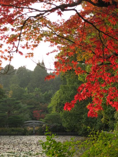 龍安寺 ｉｓｌａｎｄ日記