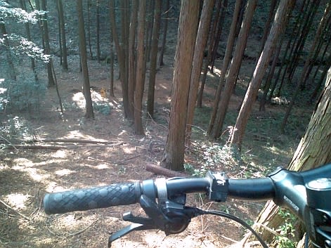 ＭＴＢ　トレイルライド