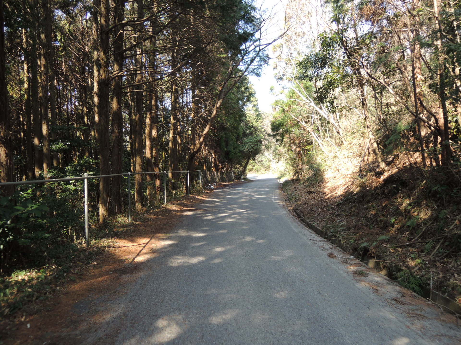 サイクリング 大分市 高崎山一周 人生中間地点