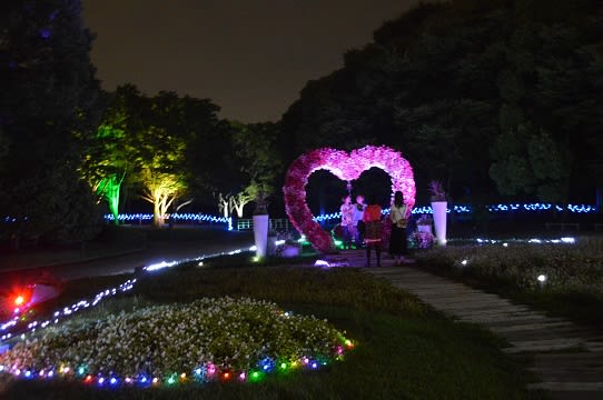 長居植物園 ナイトガーデン ワンダースター 航星記