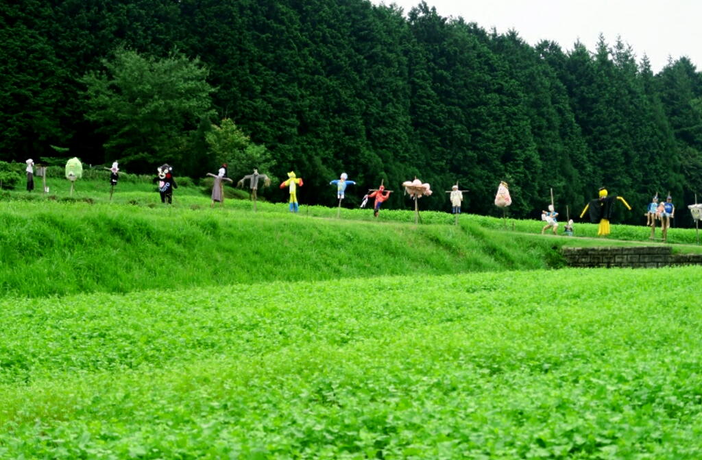 彼岸花の画像