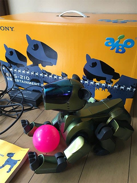 AIBO