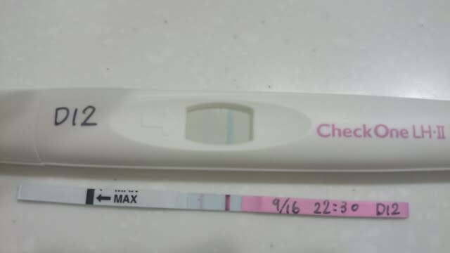 チェックワンlh2での排卵検査結果 プー子の女の子産み分けブログ