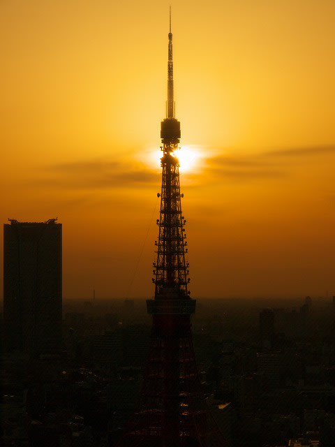 東京タワーと夕日 初心者の写真