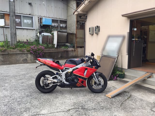 イメージ 11