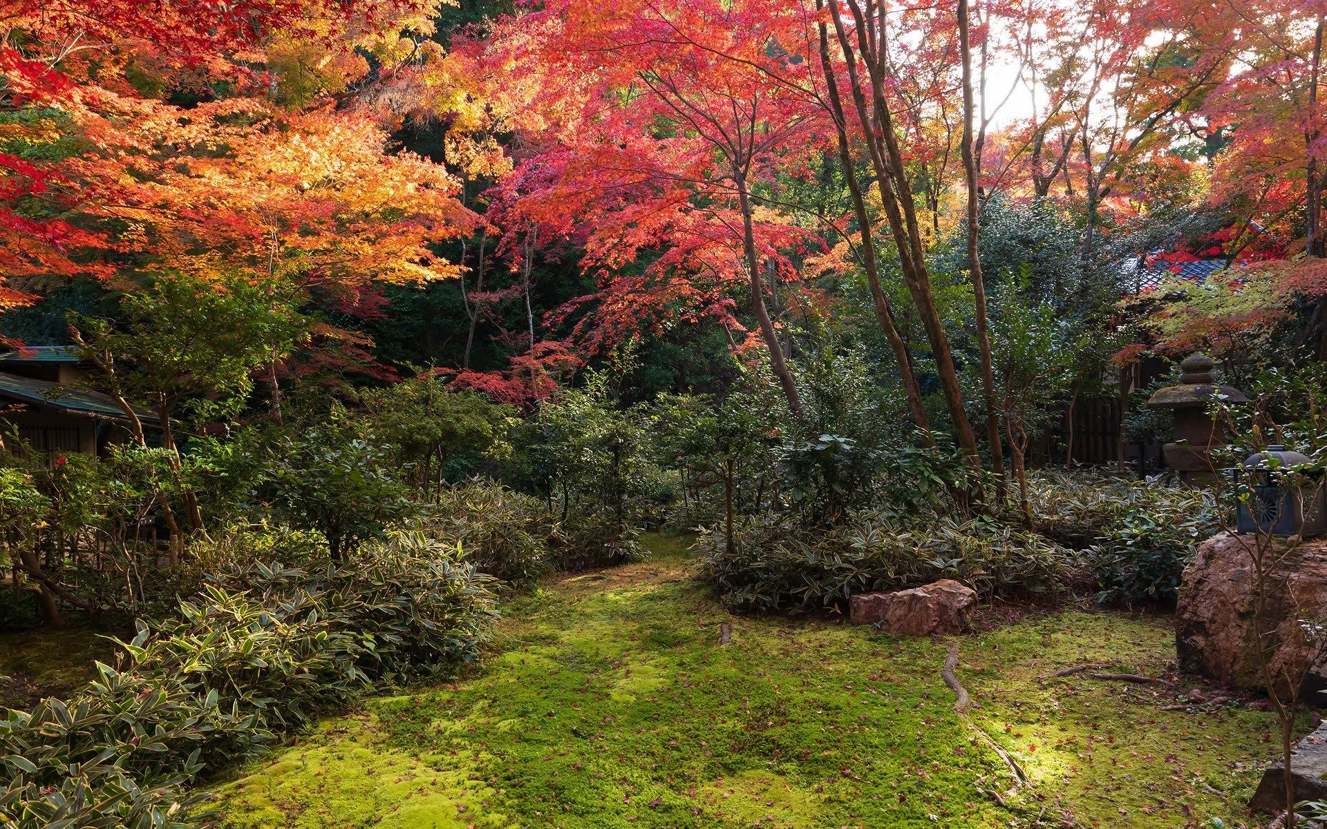 19年紅葉の京都 来迎院 泉涌寺 の壁紙その2 計21枚 壁紙 日々駄文