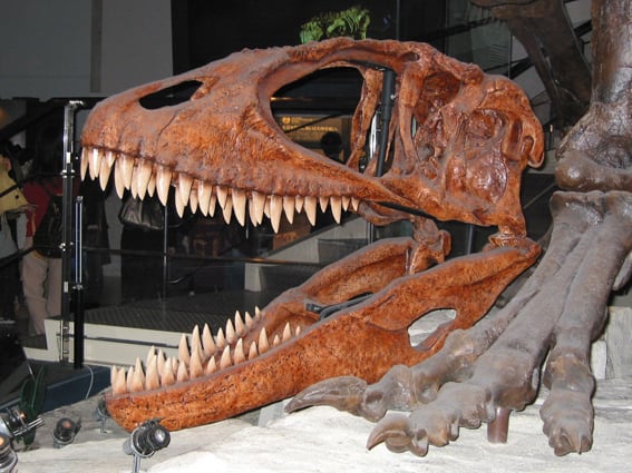 カルカロドントサウルスもすごい - 肉食の系譜