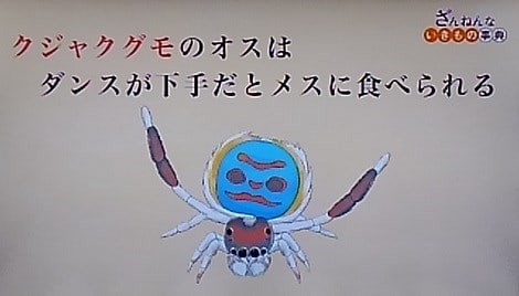 マンガ アニメ のブログ記事一覧 5ページ目 メランコリア マンガ アニメ のブログ記事一覧 5ページ目 メランコリア