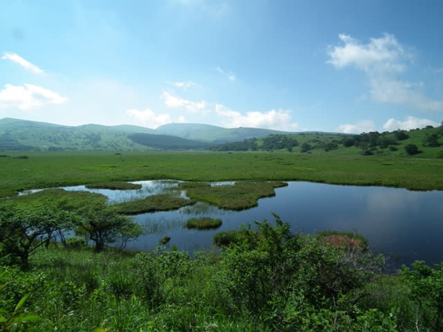 奥霧ヶ峰