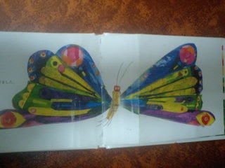 きれいな蝶