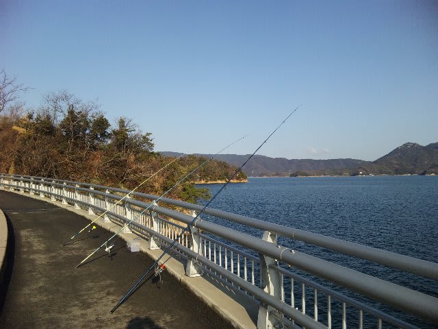 2 28 鹿島カレイ 釣りましょう広島