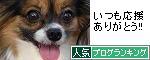 人気ブログランキングへ