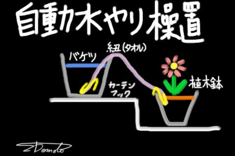 Img_1402 Img_1402