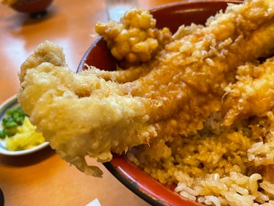 天ぷら 鎧 でボリューム満点の 海老穴子丼 をいただく ウ ウマ な生活 天ぷら 鎧 でボリューム満点の 海老穴子丼 をいただく ウ ウマ な生活