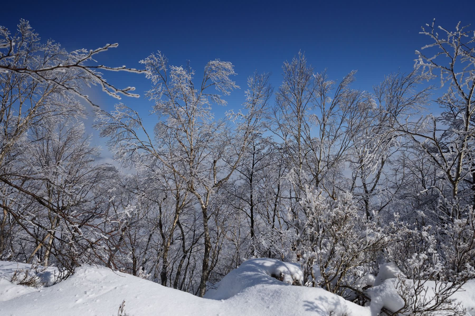 冬の赤城山を往く その4 黒檜山展望台 信の信州からの贈り物