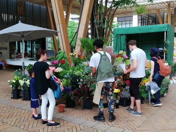 柏の葉のお花屋さん 柏の葉story 柏の葉のお花屋さん 柏の葉story