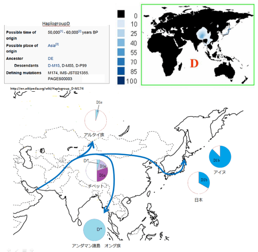 Y染色体ハプログループの分布 (東アジア)
