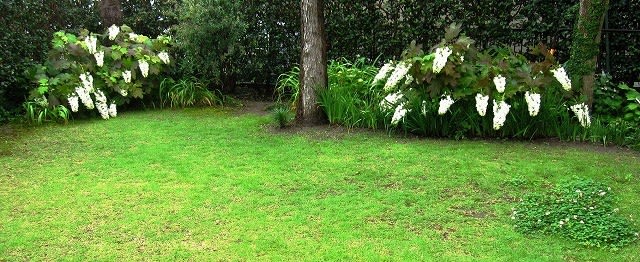 紫陽花の庭 ようこそ私の庭へ