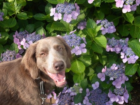 201206268.jpg