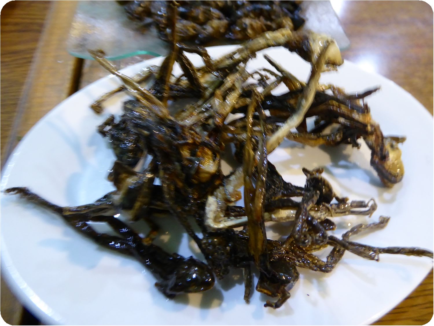 虫を食べてきましたよ 飲んでもブログ 虫を食べてきましたよ 飲んでもブログ
