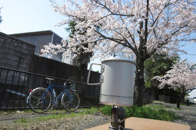 幸手　権現堂桜堤