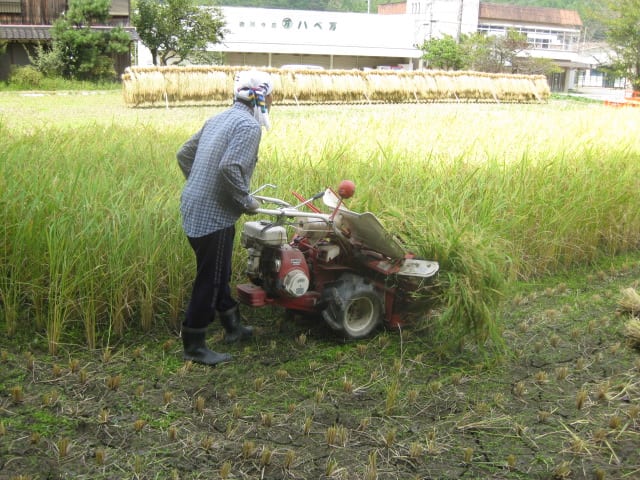 Img_1430 Img_1430
