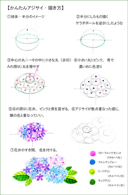 簡単アジサイ描き方 その２ おさんぽスケッチ にじいろアトリエ 水彩 色鉛筆イラスト スケッチ