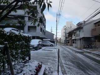 年末に続いての雪です、、さむい