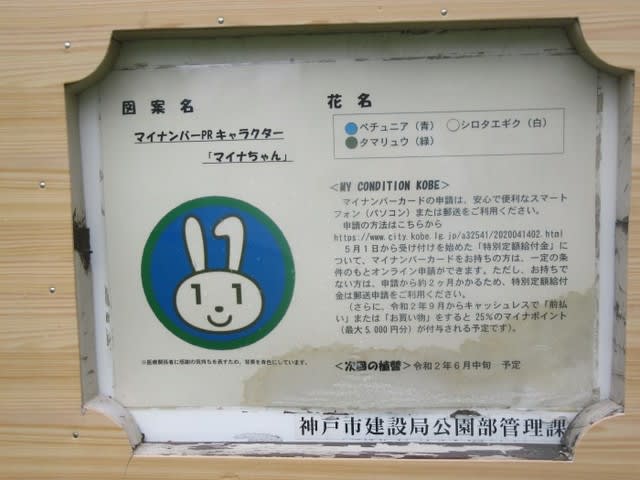 神戸花時計がマイナンバーprキャラクター マイナちゃん に変わっています On 6 12 Chiku Chanの神戸 岩国情報 散策とグルメ