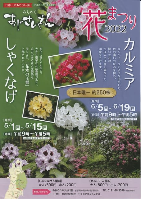 一関市 みちのくあじさい園 の しゃくなげ祭り 始まる 22年5月3日 火 Peaの植物図鑑