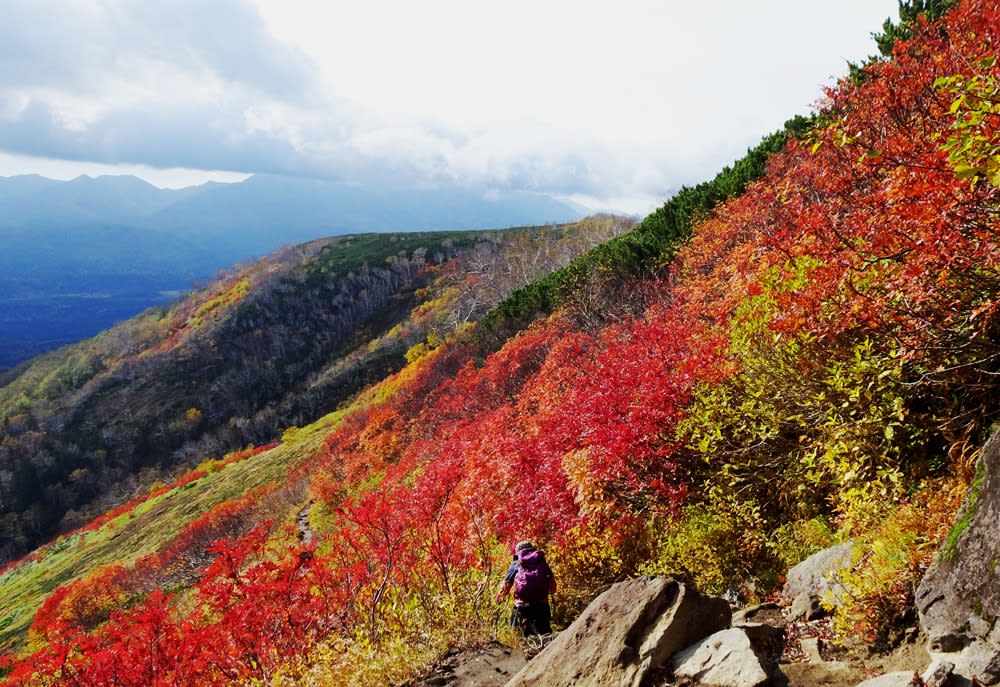赤岳の紅葉 銀泉台 コマクサ平2018年9月25日 田舎都会からの便り 赤岳の紅葉 銀泉台 コマクサ平2018年9月25日 田舎都会からの便り