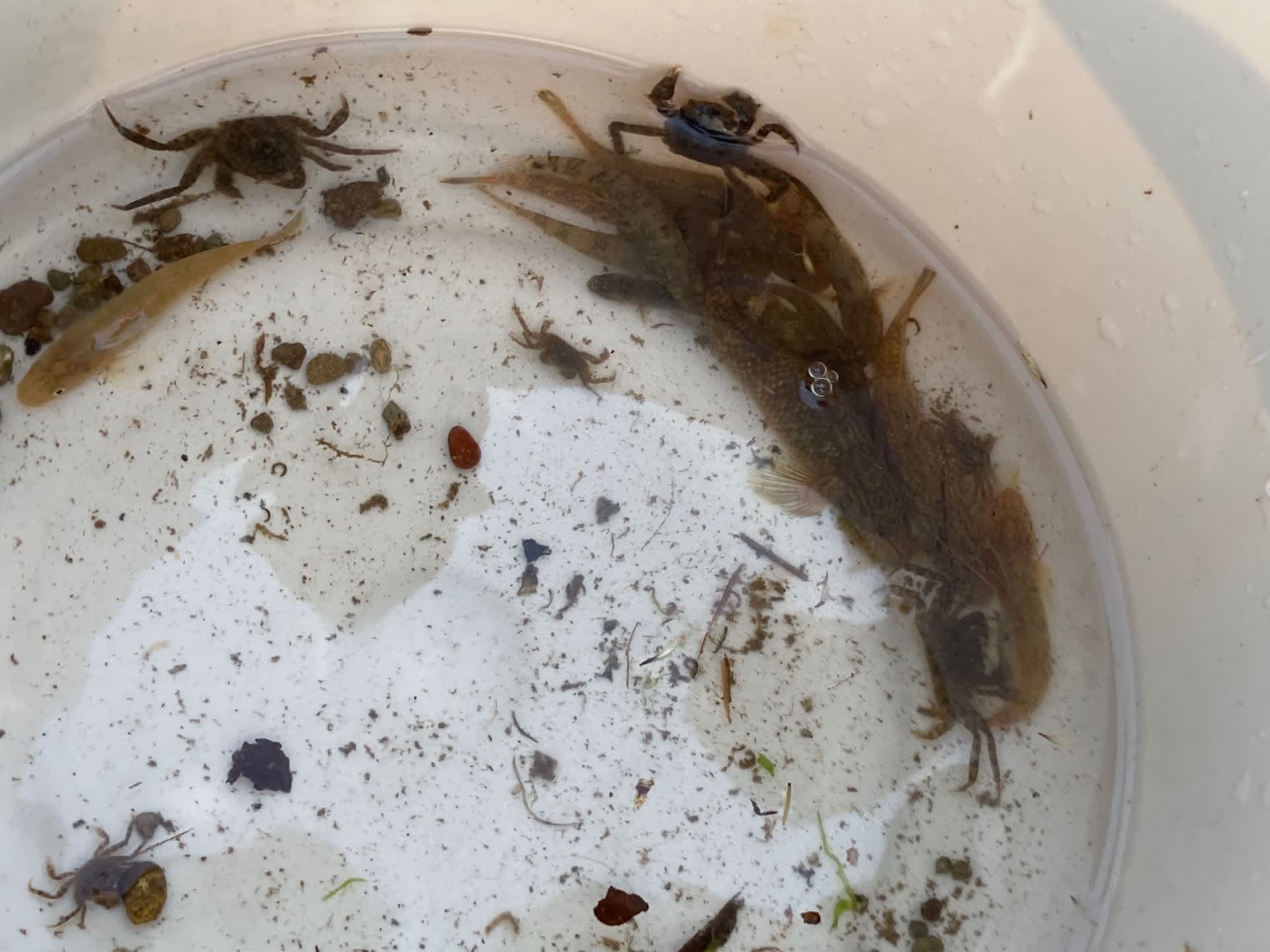 水産生物部 山形県立加茂水産高等学校