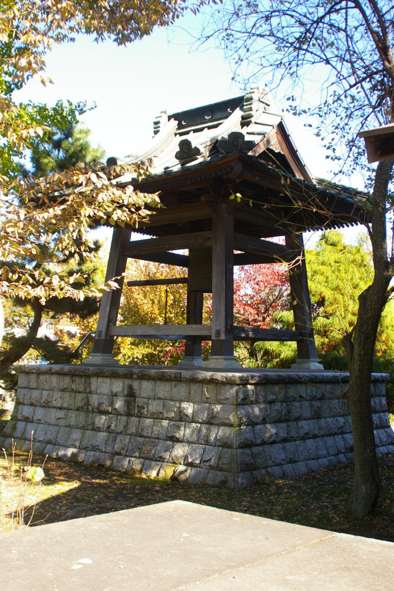 埼玉県加須市、大越徳性寺のイチョウです!! ビーズうさぎのハナちゃんです!! 埼玉県加須市、大越徳性寺のイチョウです!! ビーズうさぎのハナちゃんです!!