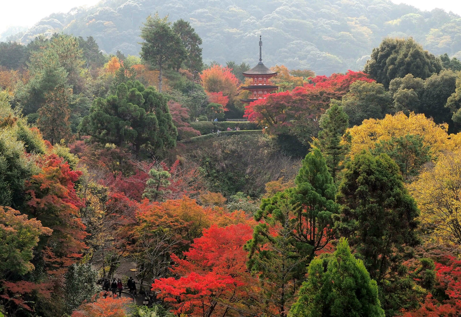 京都の紅葉 清水寺 見頃 京都で定年後生活
