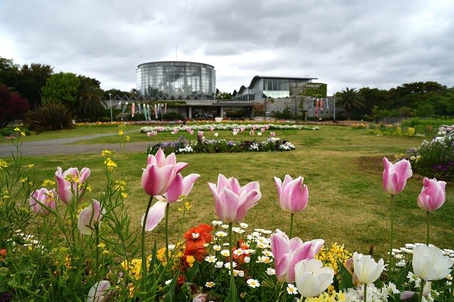 名称が 千葉市花の美術館 に戻りました スロージョギングと写真のブログ 名称が 千葉市花の美術館 に戻りました スロージョギングと写真のブログ
