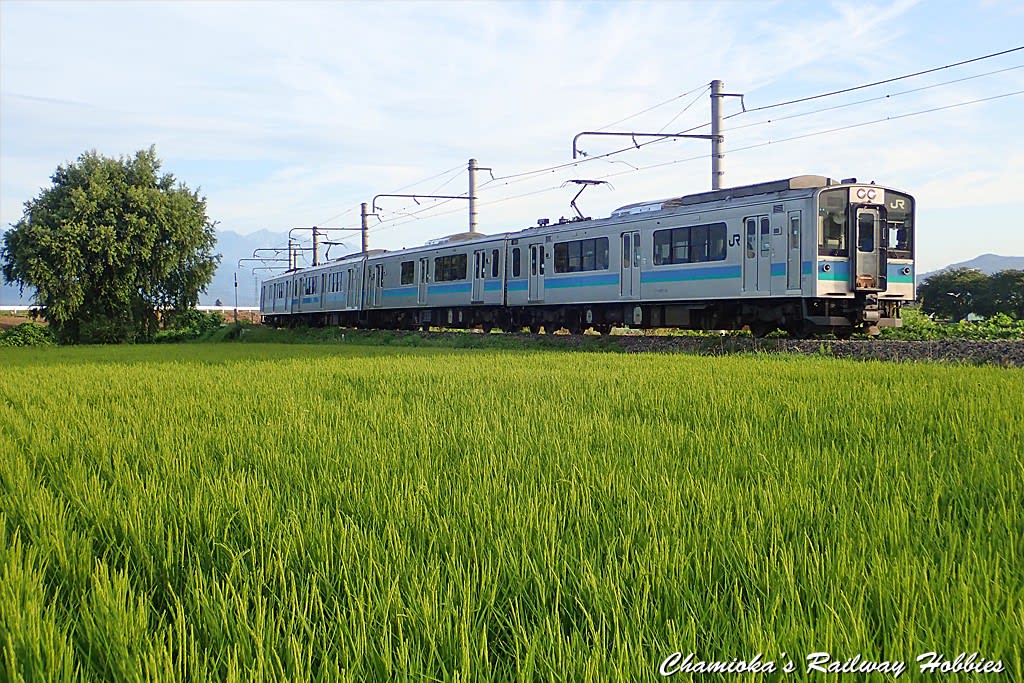 E127系　新潟色　大糸線　4両　Ｂトレインショーティー E127系 新潟色 大糸線 4両 Bトレインショーティー 模型・プラモデル