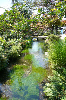 醒ヶ井地蔵川