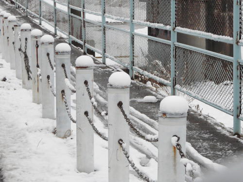 降雪