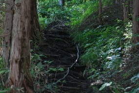 登山道