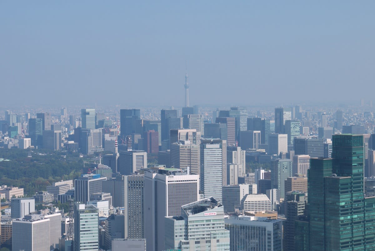 １１月の東京シティビュー 海抜２７０メートルの 東京スカイデッキ ｐａｒｔ３ 緑には 東京しかない