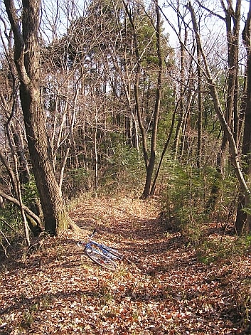 会沢トンネル　旧道