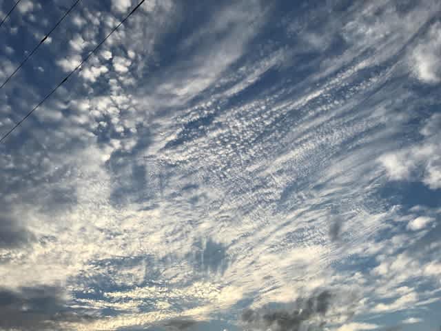 複雑な雲 白く高い空の雲 ねこじゃらし2