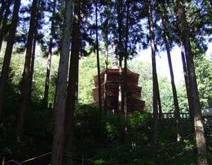 「安楽寺」脇木の間の三重塔