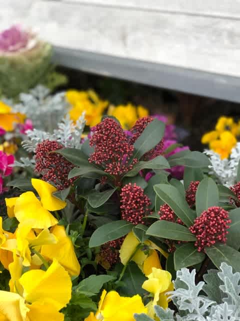 ハワイアンカフェ コナズ珈琲 千秋園 お花のことなら 湘南 寒川の花屋 千秋園 市場仕入れの新鮮花材 花束 アレンジメント 鉢花おまかせ