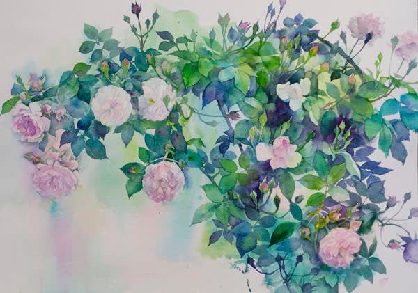 薔薇(Roses) – 本日もスケッチびより! 薔薇(Roses) – 本日もスケッチびより!