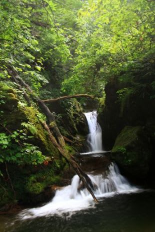 ベース立ち上がり一体打ちの継ぎ目なしベタ基礎工事 まじめな社長のその後