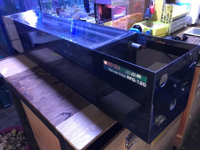 中古レイシー上部フィルターRFG120 BOXのみ - モンスター 中古レイシー上部フィルターRFG120 BOXのみ - モンスター