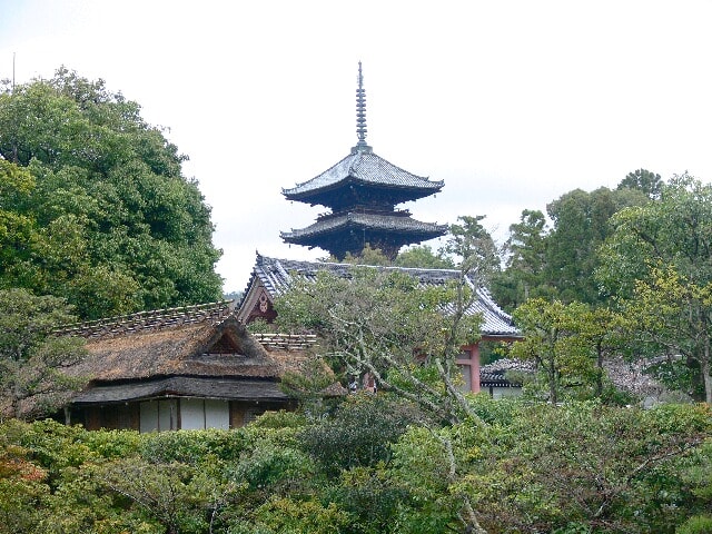 仁和寺：宸殿の北側から見た飛濤亭と五重塔