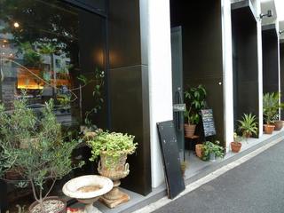 Cafe Bar Phonic Hoop 新宿三丁目 カフェ好きのカフェ日記
